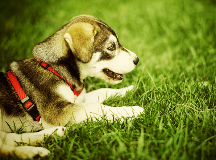 不限时间的网站攻击手段