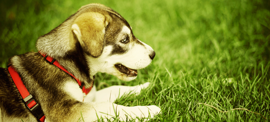 攻击网站的方法