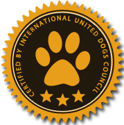 攻击网站的方法